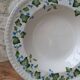 Johnson Brothers Set of 6 Ivy Leaf and Flower Blue Dinner Plates