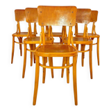 Mid Century Modern Dining Room Zebra Wood Chairs, set of six, Italy 1950s