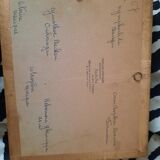 Butterflies on display