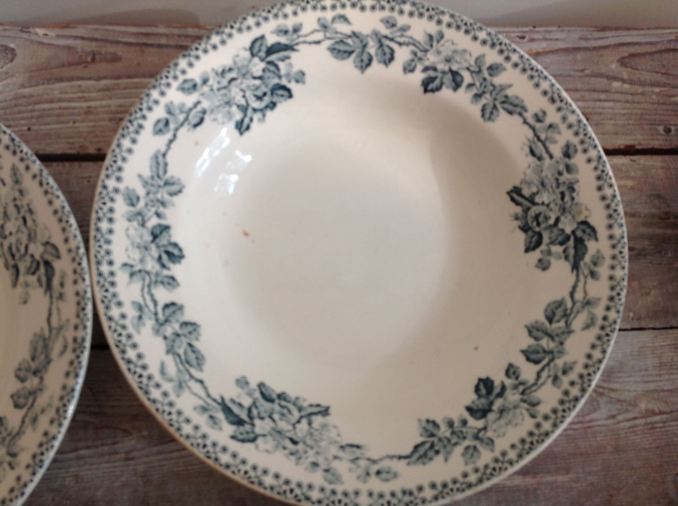 Set of 12 deep terre de fer plates