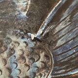 Ceramic fish plate