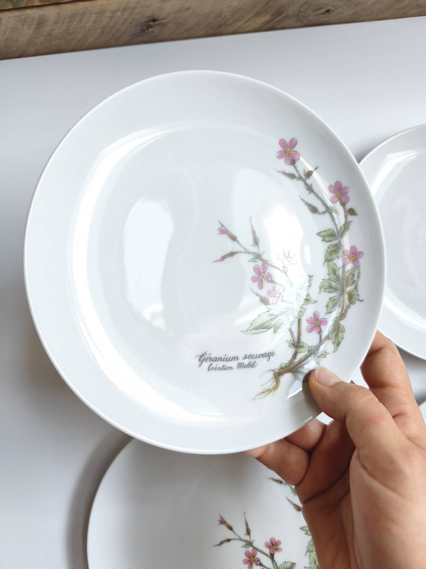 Lot de 6 assiettes à dessert de Bavière mobil décor fleurs roses