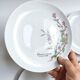 Lot de 6 assiettes à dessert de Bavière mobil décor fleurs roses