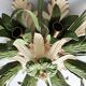Vintage ceiling lamp, floral design, 1980s, Italy