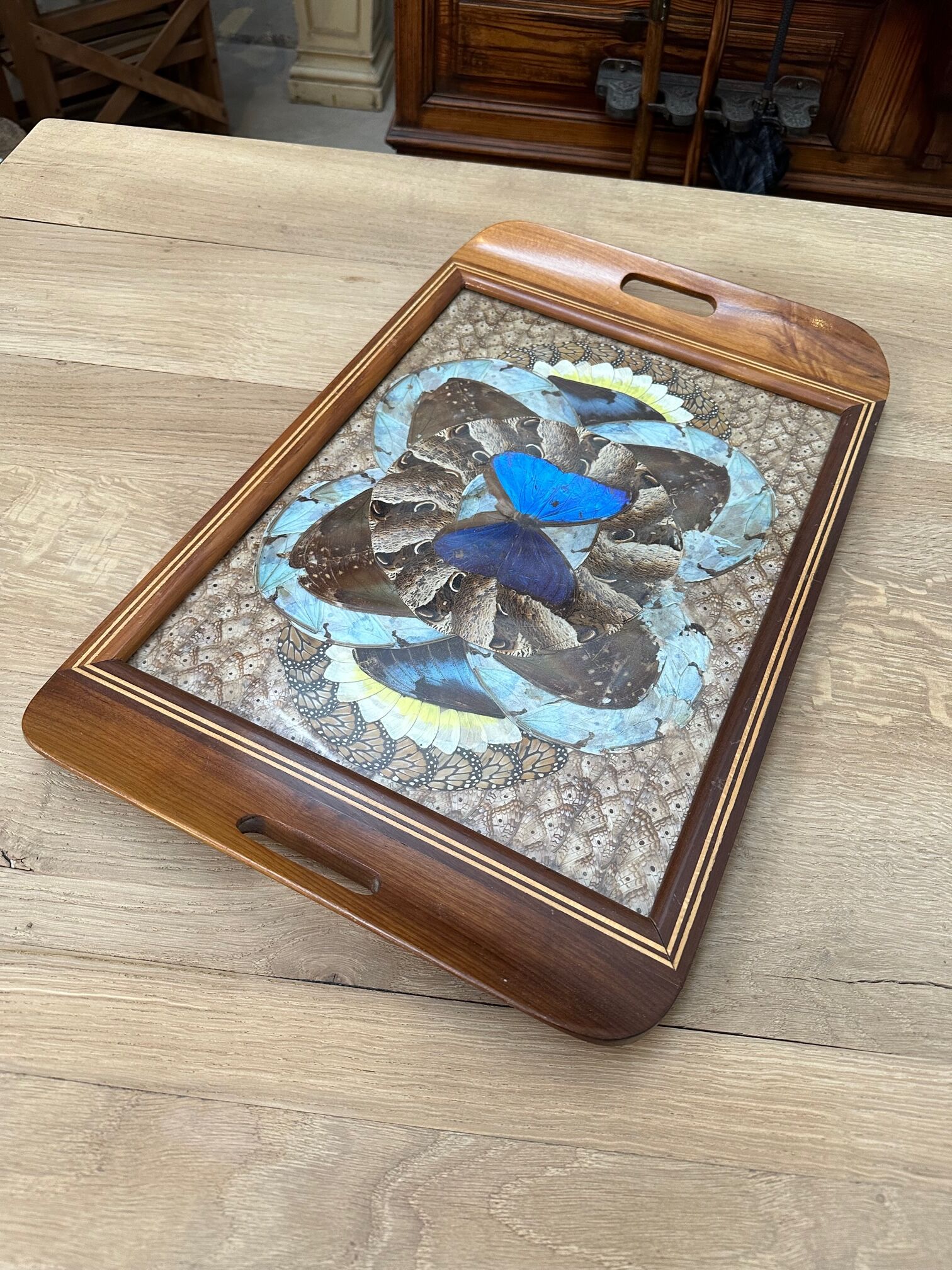 Inlaid top in exotic wood and butterfly wing decorations