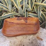 Empty cut pocket in vintage olive tree