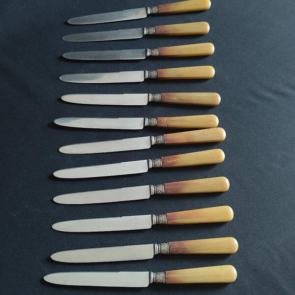 Box of 12 knives