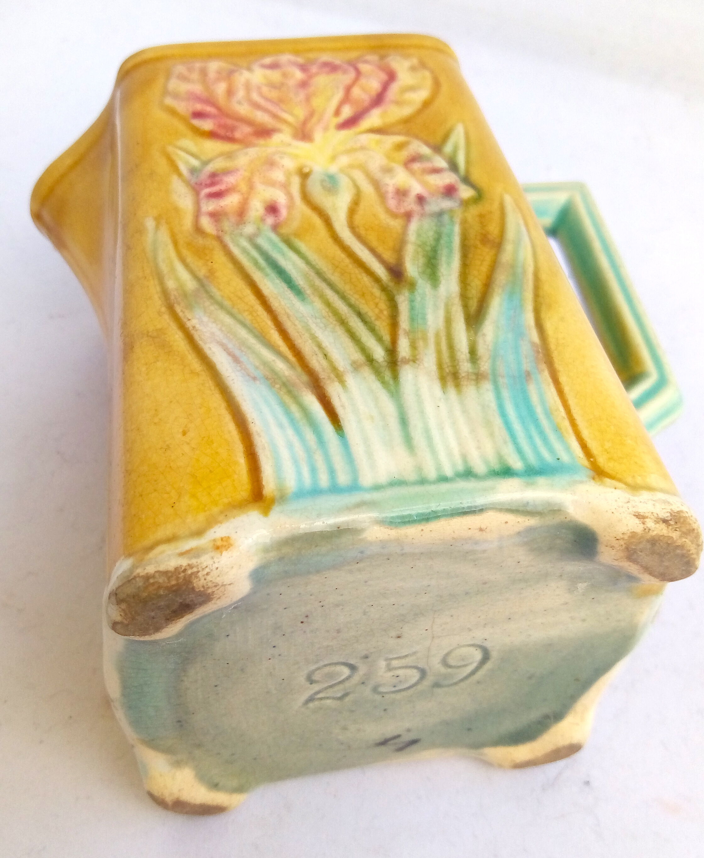 Pitcher dabbling in iris