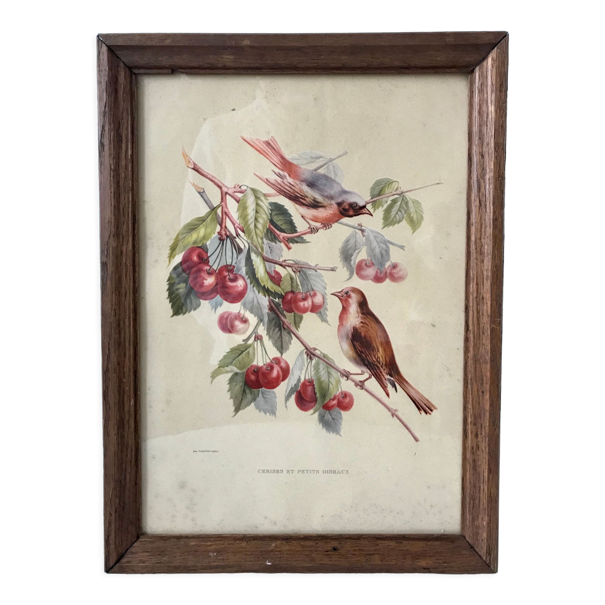 Lithograph v. sartonj cherries and small birds oak frame 50s
