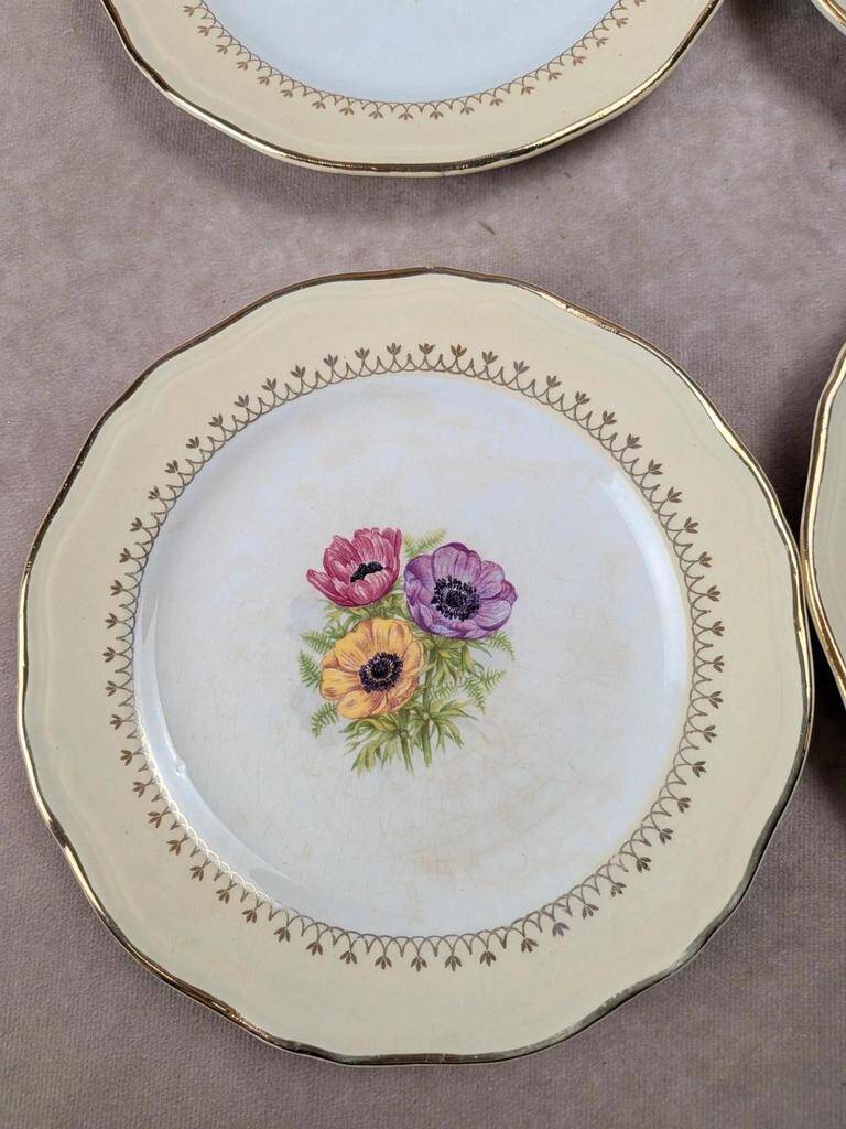 Set of 10 vintage dessert plates L’amandinoise Coopélia