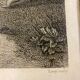Antique print, Love and Fortune ,early XX century