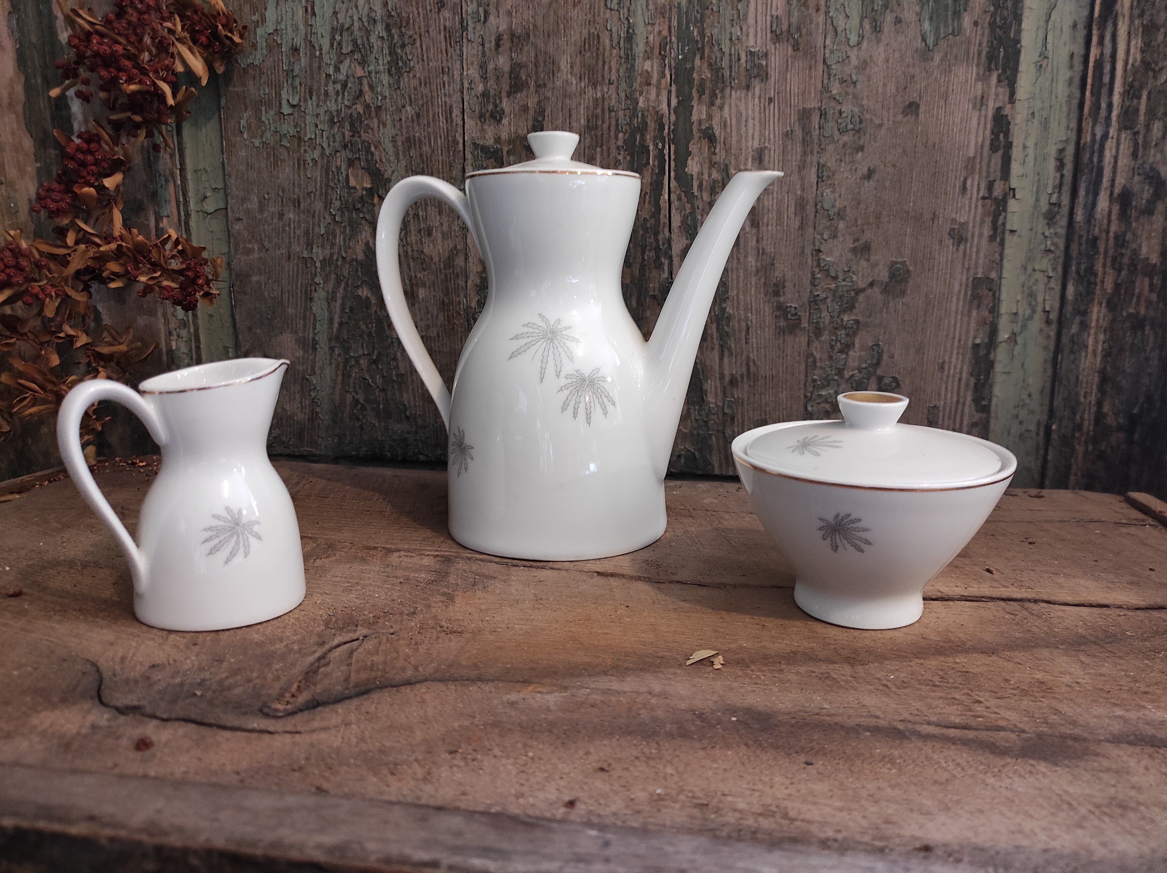 Vintage Mitterteich Bavaria porcelain coffee set