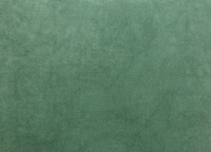 Coussin en velours 50x50cm couleur vert lichen
