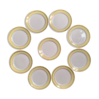 9 assiettes plates K&G Lunéville