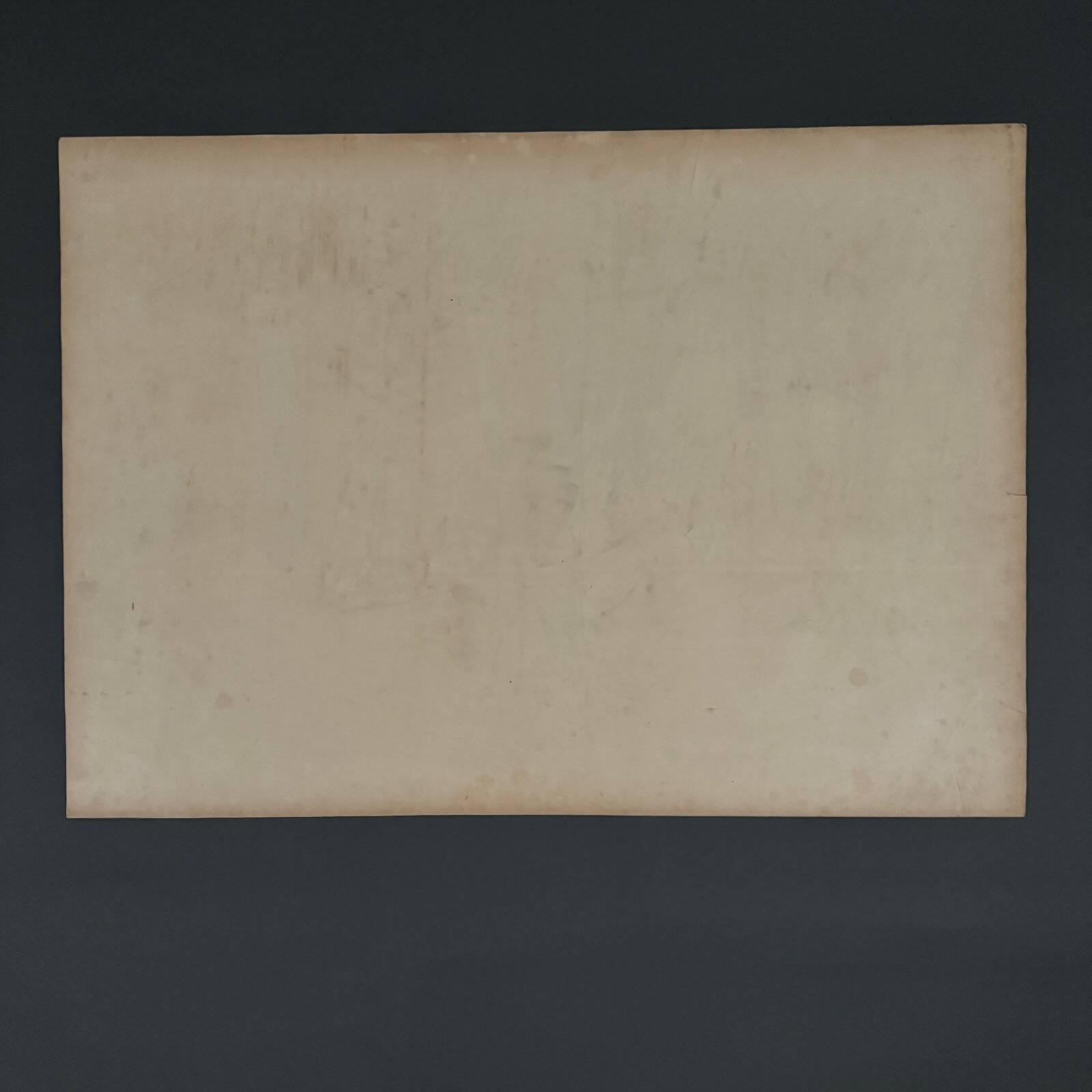 Lithograph by Henri Rivière The Aspects of Nature The Wood, Winter