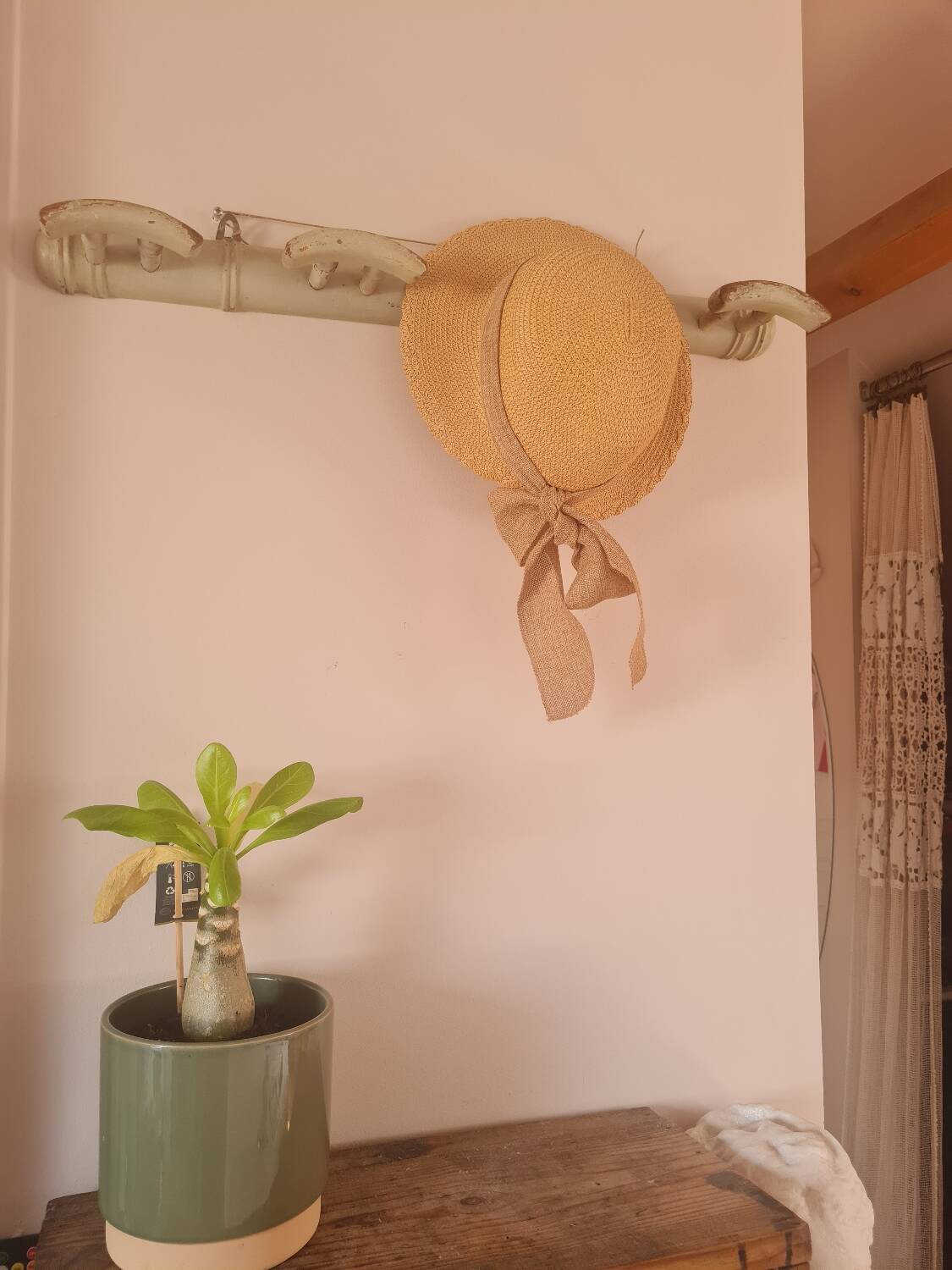 Coat and hat rack