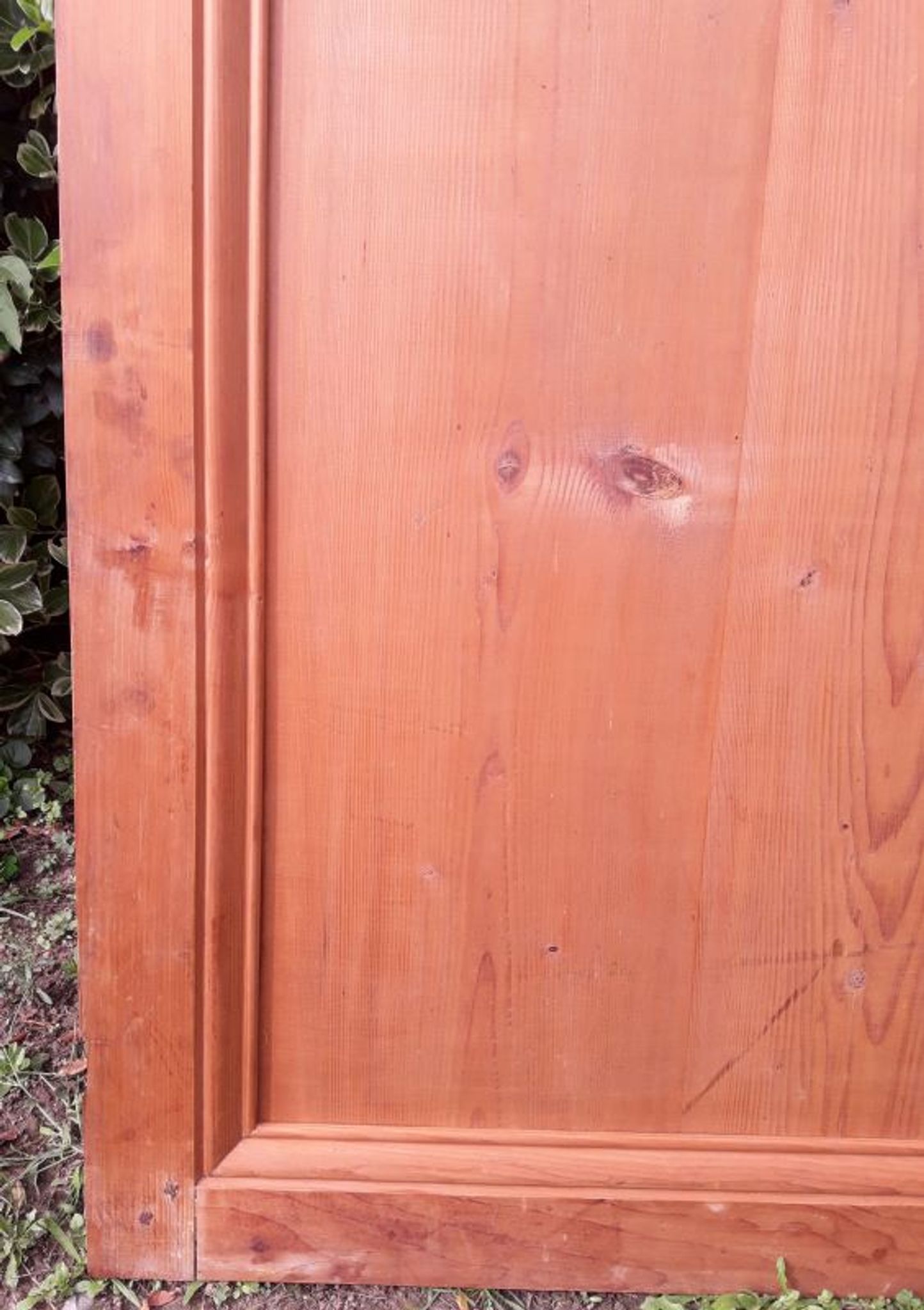 Paire de portes 248x129cm anciennes