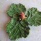 Presentation dish in green slipware