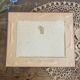 Old framed engraving of birds "red grouse"