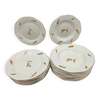 24-piece service Digoin & Sarreguemines Model "Nemours" Vintage