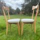 Chaises d'Ico Parisi par Ariberto Colombo 1950