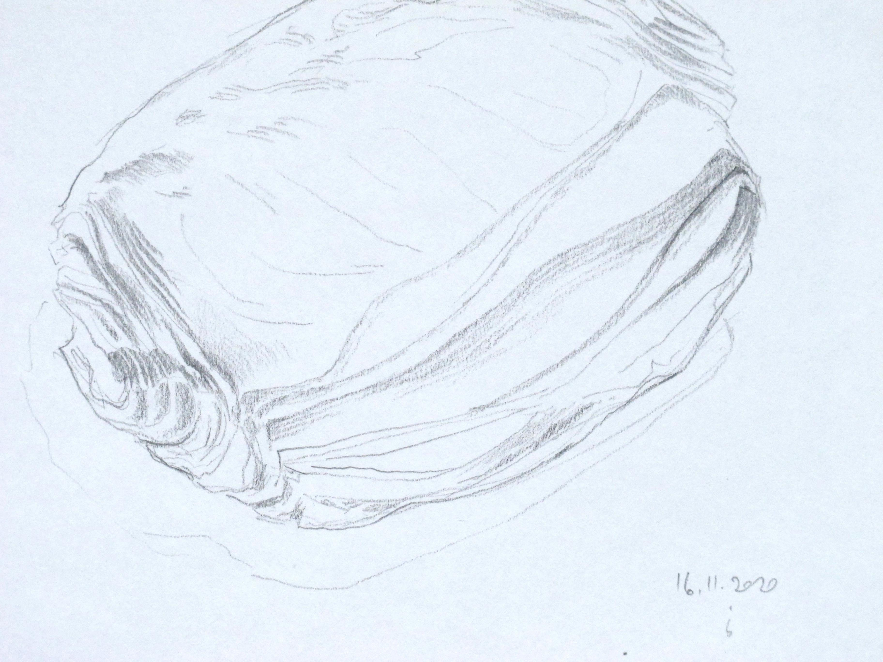 Pain au chocolat, dessin original