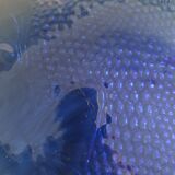 Arcoroc fish plates