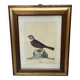 Framed ornithological engraving