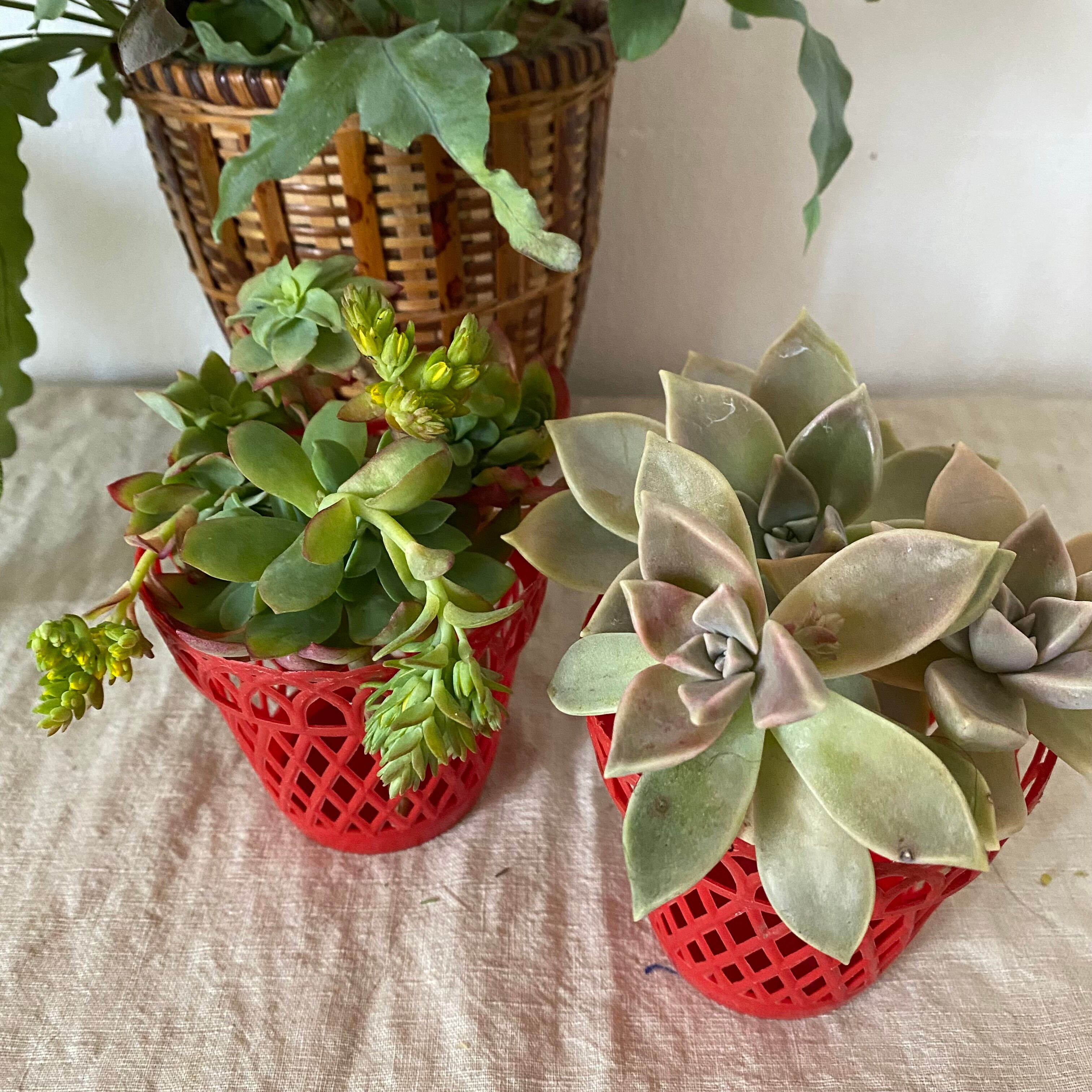 Pot covers