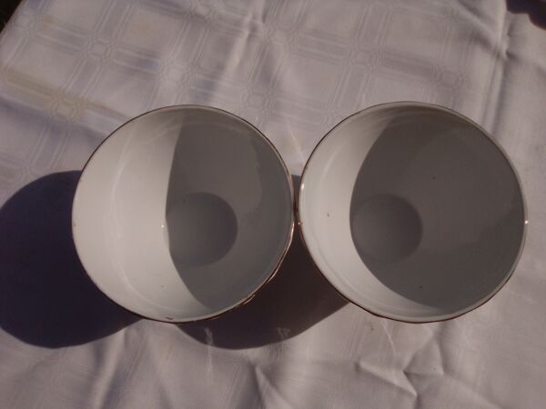 2 bols anciens en faïence  Hamage Nord  motif roses diam 15 cm H 8,5 cm