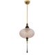 Blown Murano Glass and Brass Pendant Lamp