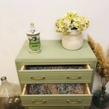 Parisian chest of drawers