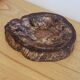 Pocket Video Pierre Fossilised Tree Fossil Section 1.66 Kg