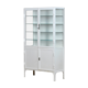 Medical iron and glass cabinet, 1940s