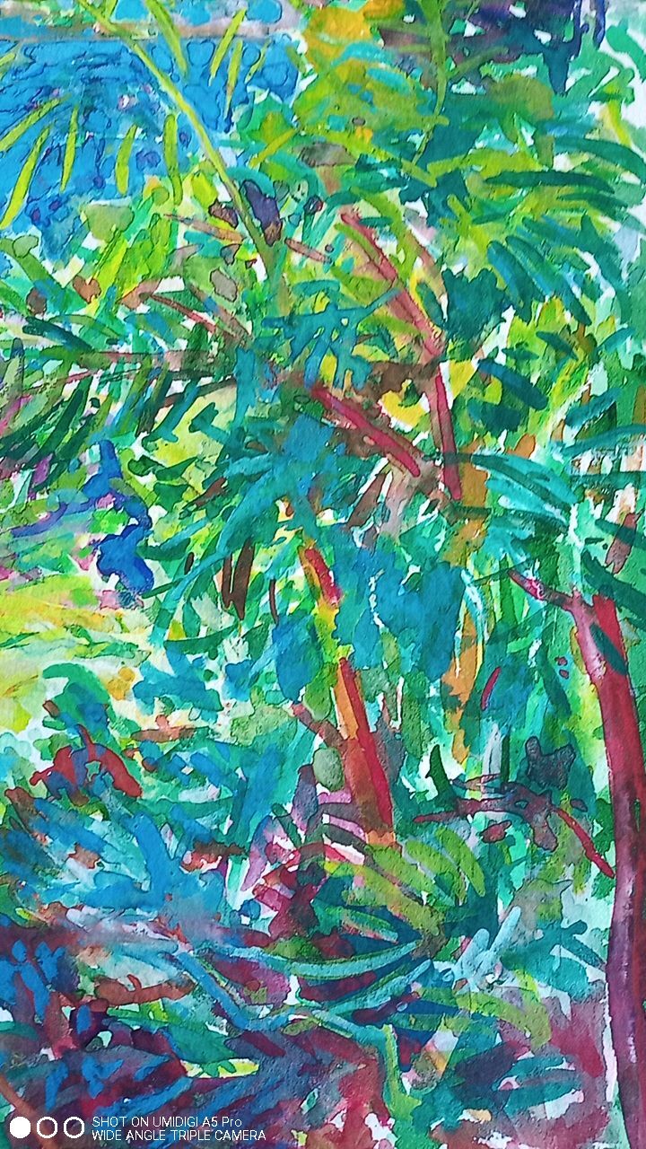 Pierre Lacroux (1909-1993) Gouache - 38,5 x 28cm - Cap Ferrat 79