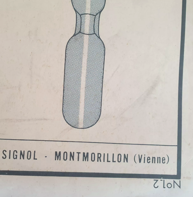 Vintage Rossignol educational display