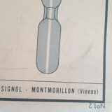 Vintage Rossignol educational display