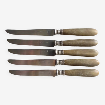 5 old fruit knives, silver blade, sabatier