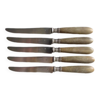 5 old fruit knives, silver blade, sabatier