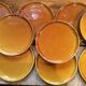 Set of 12 plates vintage