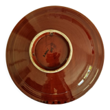 Dish