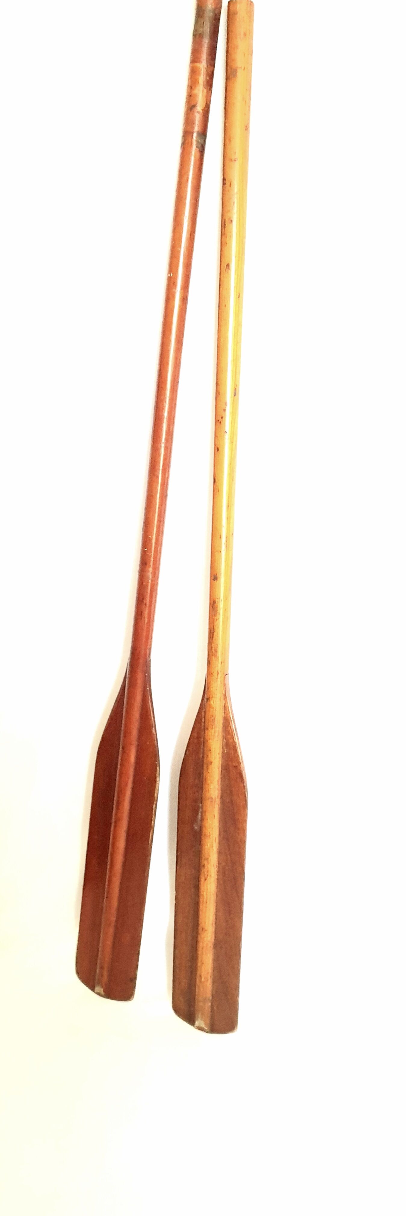 Vintage old oars pair