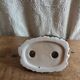 Zoomorphic dog Yorkshire eggcup