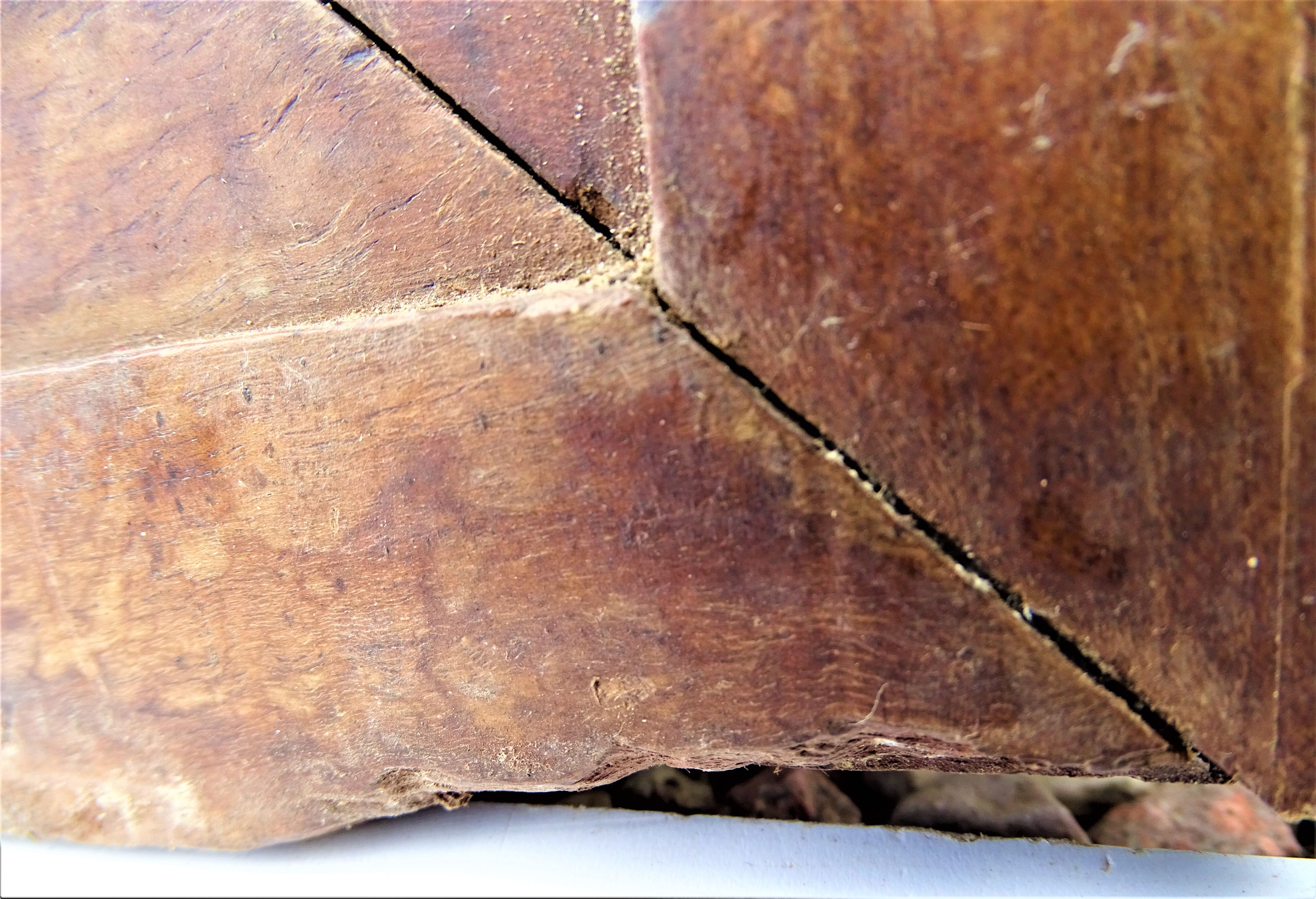Pair of antique cabinet doors
