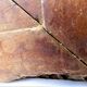 Pair of antique cabinet doors