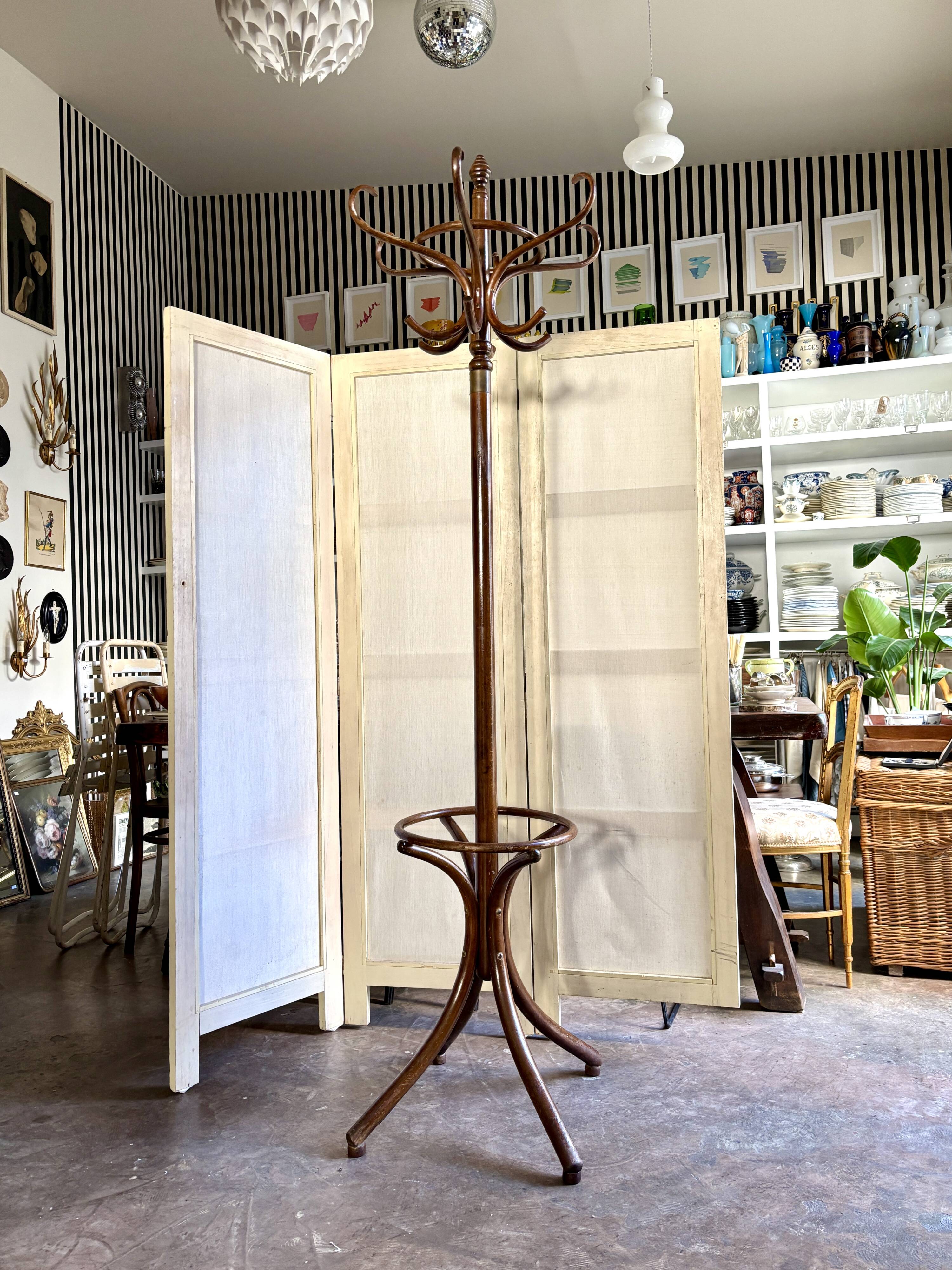 Parrot coat rack with 6 hooks in dark bent beech