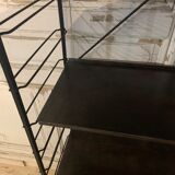 Shelf Tomado
