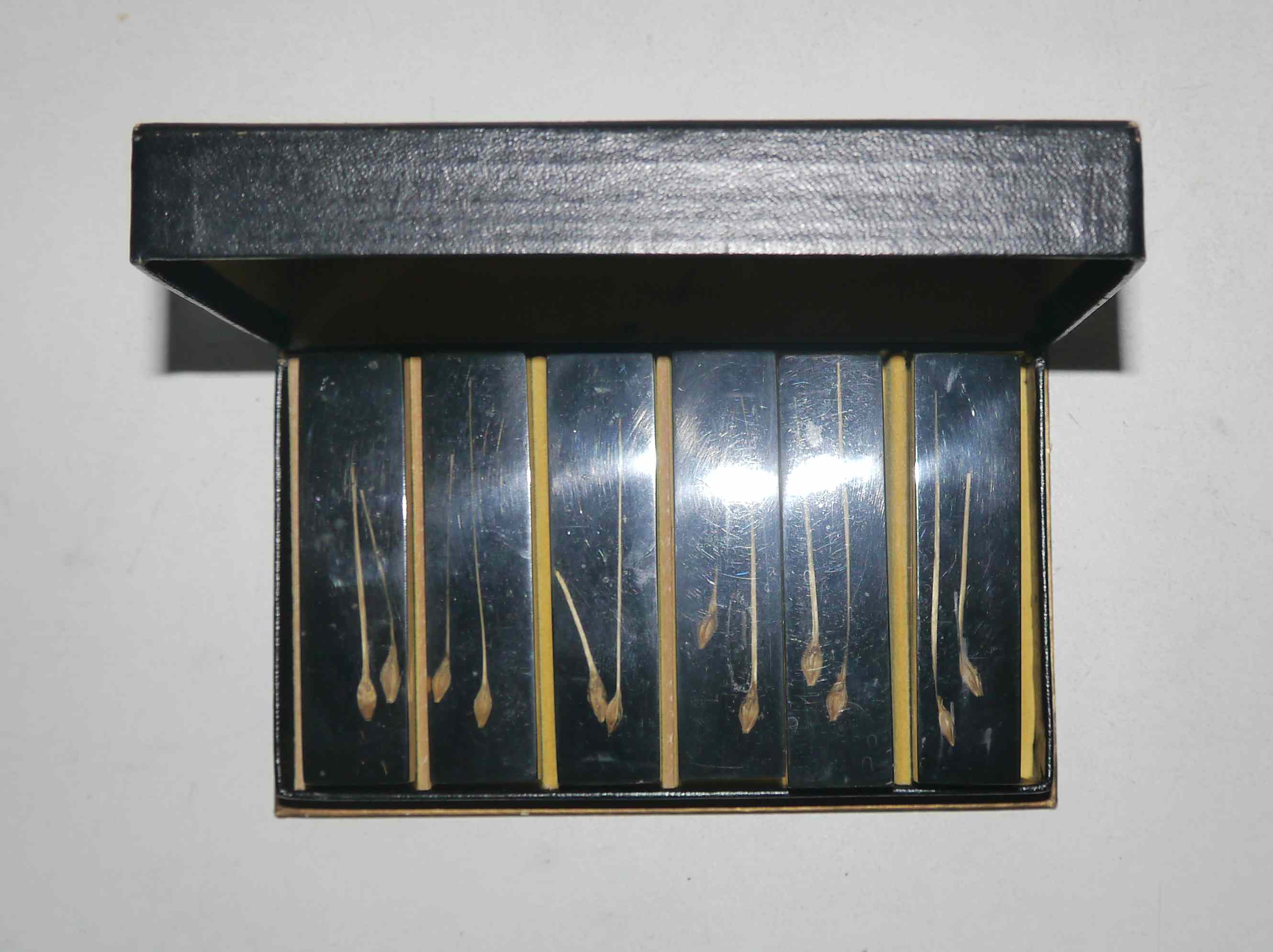 Service of 6 resin knife holders and inclusion 60's years