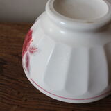 Old standing bowl pink red blue foliage