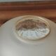 Vintage sandblasted amber glass lamp globe flower pattern hanging lamp